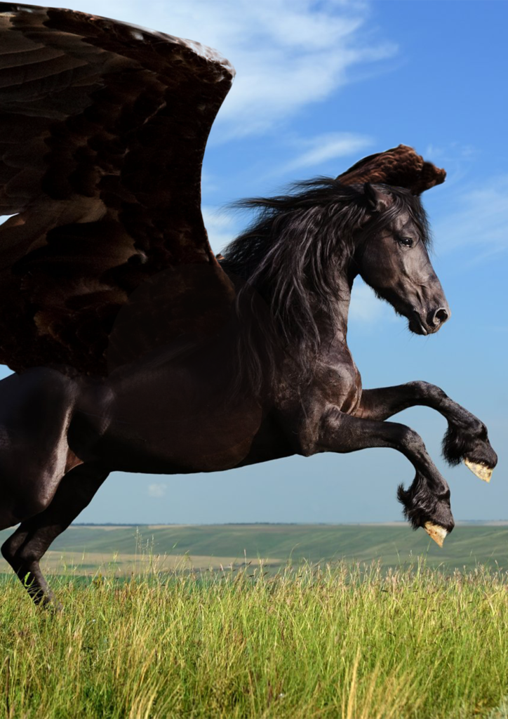Pegasse a4